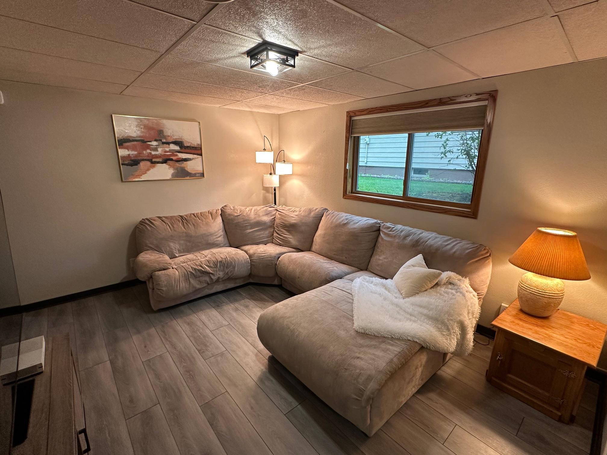 Lower level family room