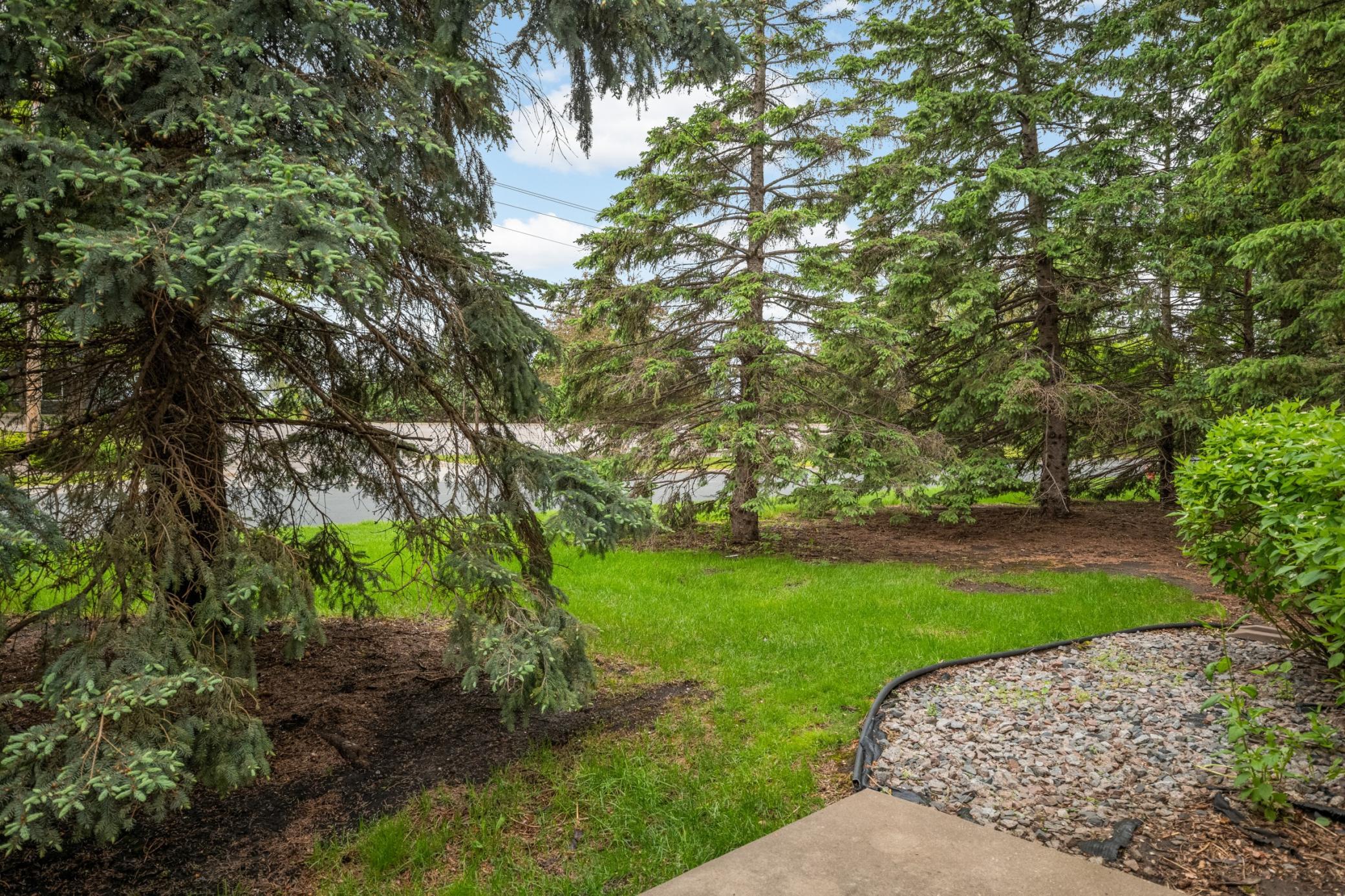 Lovely evergreen trees offer year round greenery