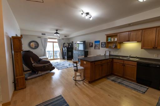 1215 N Lakeshore Drive, 210, Lake City, MN 55041