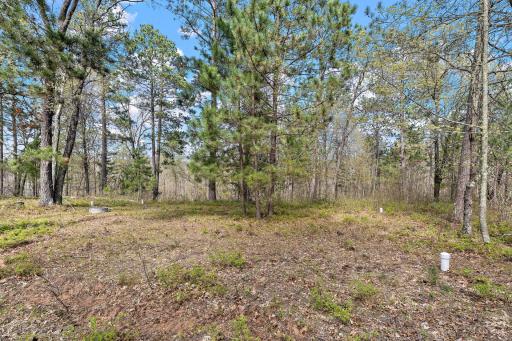 4226 Deerpath Road, Danbury, WI 54830
