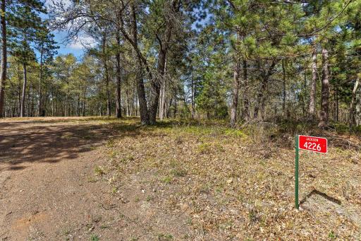 4226 Deerpath Road, Danbury, WI 54830