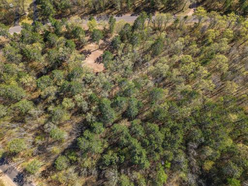 4226 Deerpath Road, Danbury, WI 54830