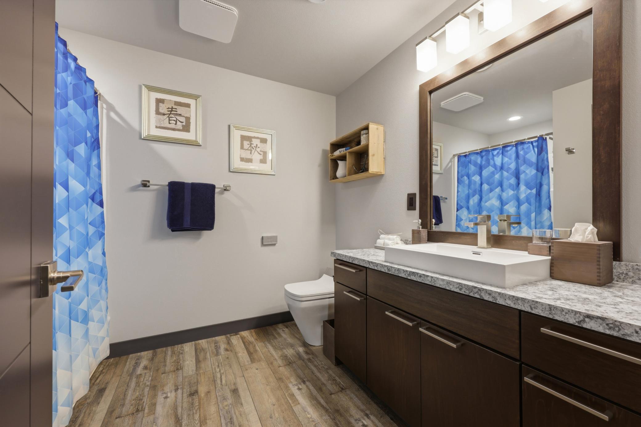 bathroom in basement
