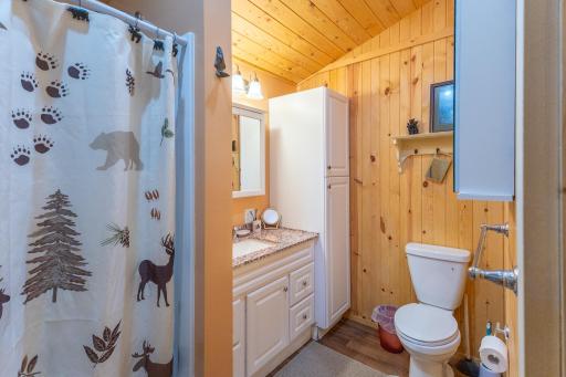 4411 Woodley Trail NE, Remer, MN 56672