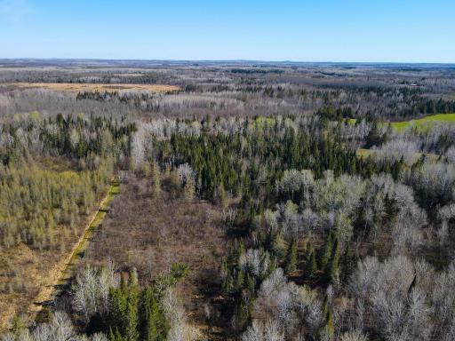 Parcel A Township Road D, Wawina, MN 55736