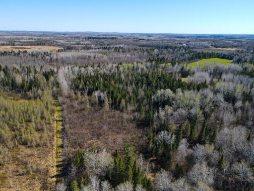 Parcel A Township Road D, Wawina, MN 55736
