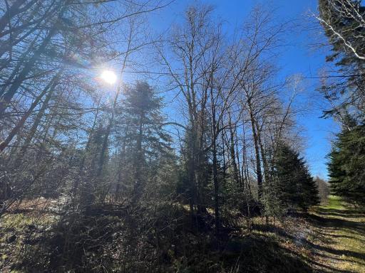Parcel A Township Road D, Wawina, MN 55736