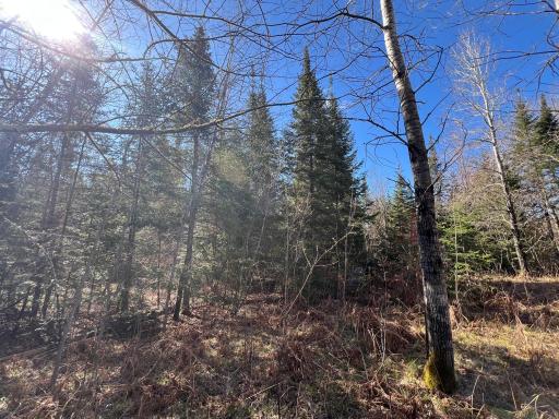 Parcel A Township Road D, Wawina, MN 55736
