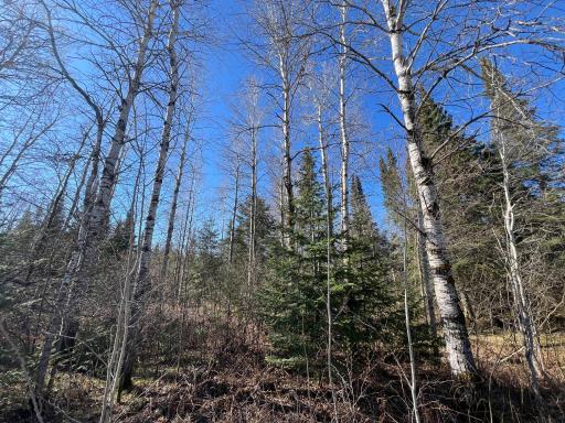 Parcel A Township Road D, Wawina, MN 55736