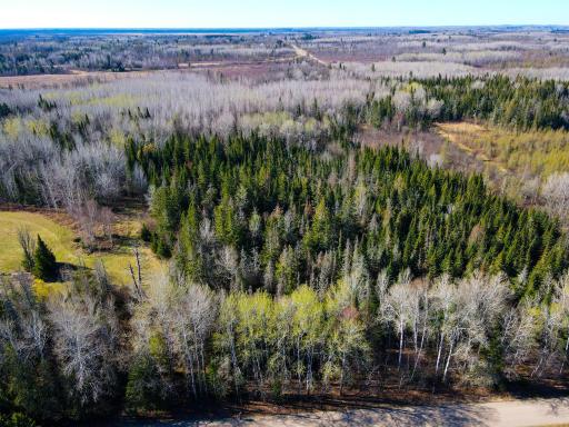 Parcel B Township Road D, Wawina, MN 55736