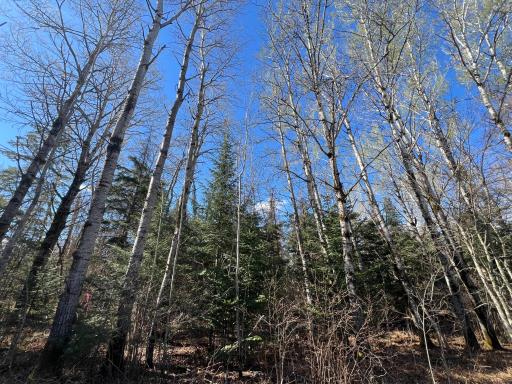 Parcel B Township Road D, Wawina, MN 55736