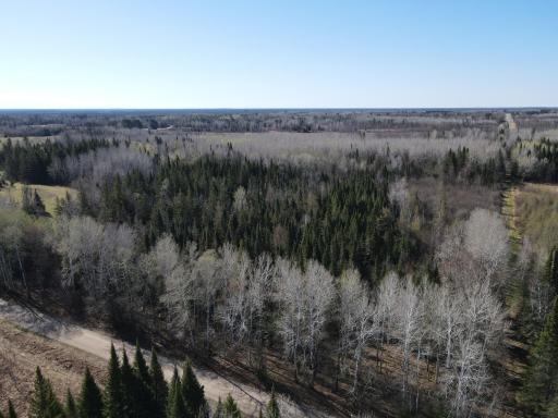 Parcel B Township Road D, Wawina, MN 55736