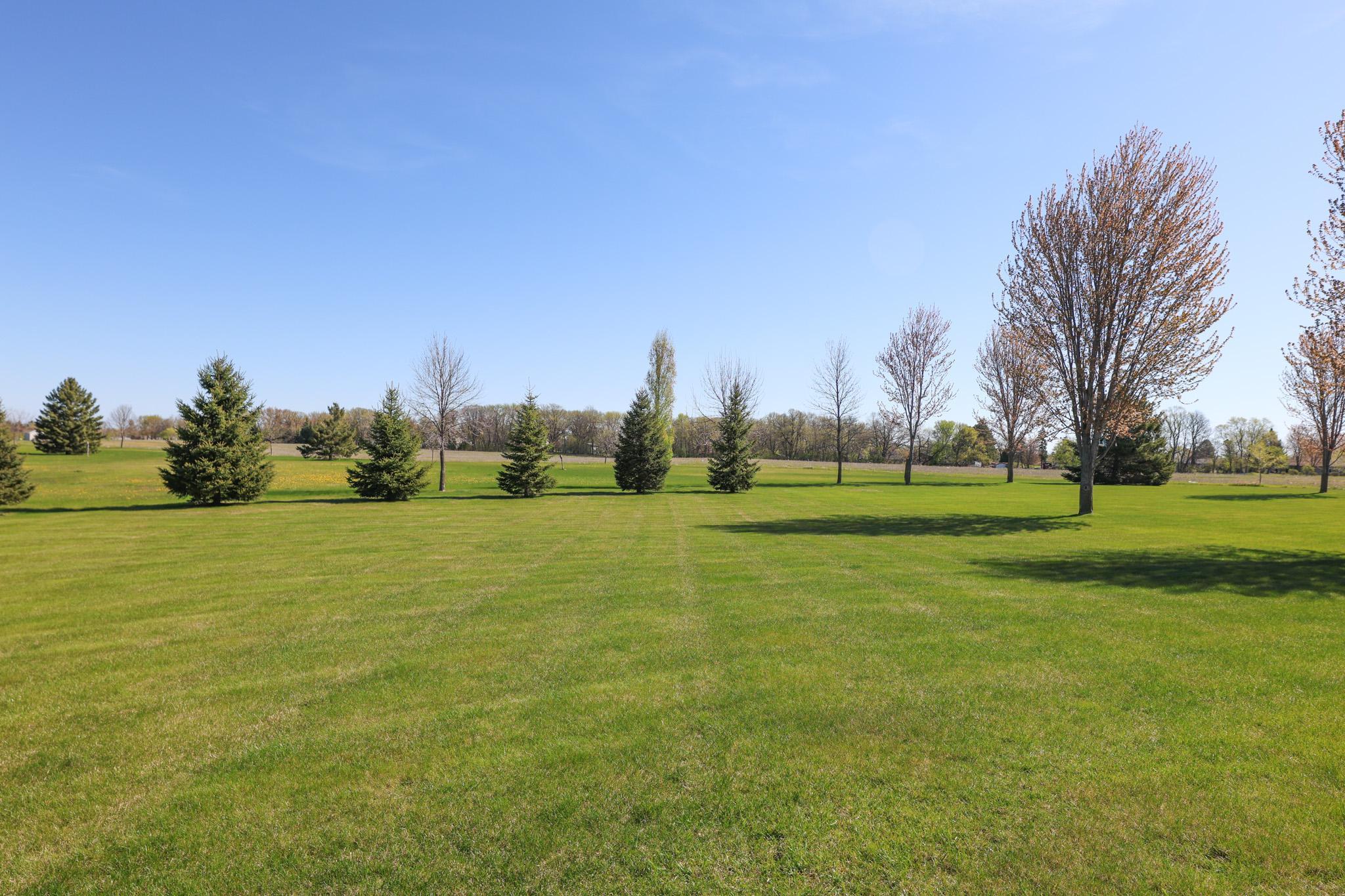 Large Backyard
