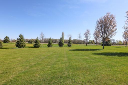 Large Backyard