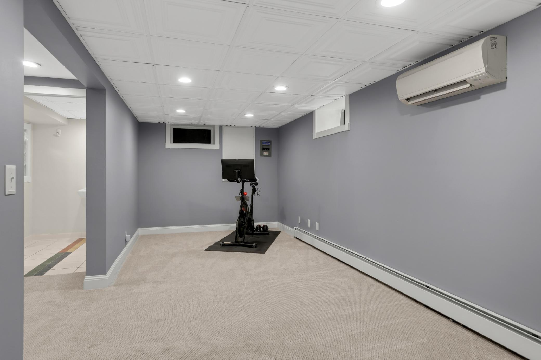 Bonus room lower level