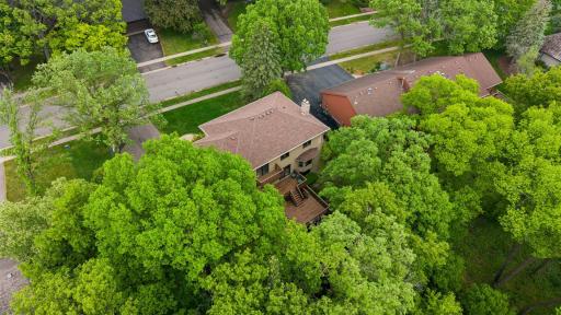 Property has lush green trees for privacy