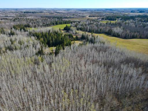 Parcel D Township Road D, Wawina, MN 55736