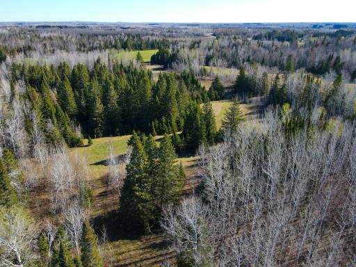 Parcel D Township Road D, Wawina, MN 55736