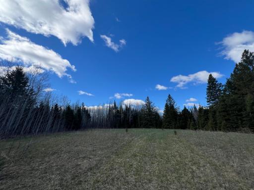 Parcel D Township Road D, Wawina, MN 55736