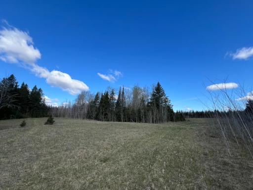 Parcel D Township Road D, Wawina, MN 55736