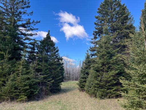 Parcel D Township Road D, Wawina, MN 55736