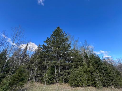Parcel D Township Road D, Wawina, MN 55736