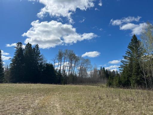 Parcel D Township Road D, Wawina, MN 55736