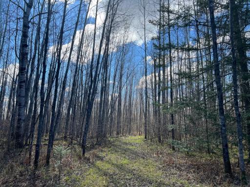 Parcel D Township Road D, Wawina, MN 55736