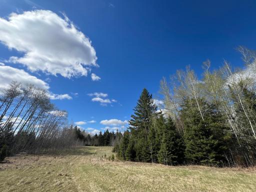 Parcel D Township Road D, Wawina, MN 55736