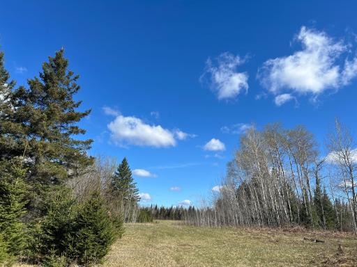 Parcel D Township Road D, Wawina, MN 55736