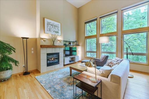 1407 Summit Shores Drive, Burnsville, MN 55306