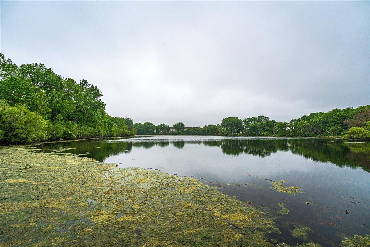 Lake View.