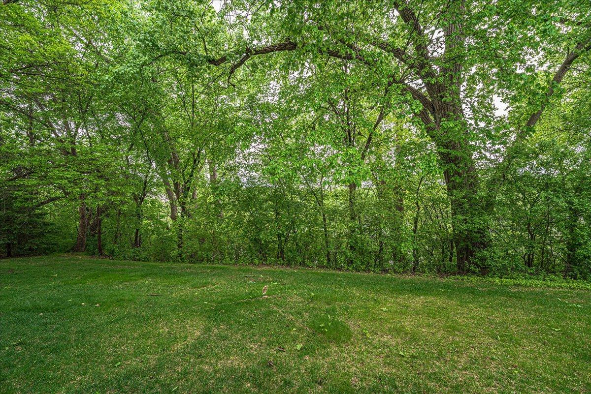Backyard.
