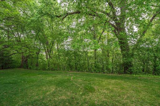 1407 Summit Shores Drive, Burnsville, MN 55306