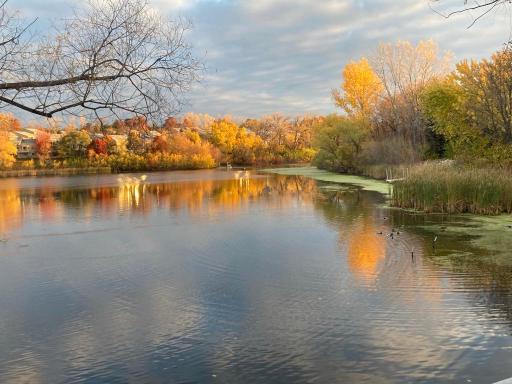 1407 Summit Shores Drive, Burnsville, MN 55306