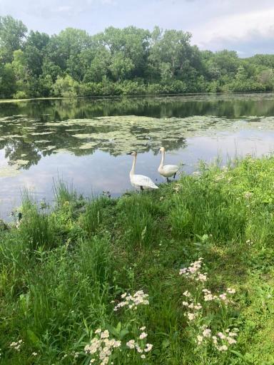 1407 Summit Shores Drive, Burnsville, MN 55306