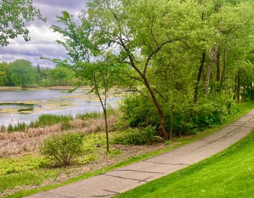 1407 Summit Shores Drive, Burnsville, MN 55306