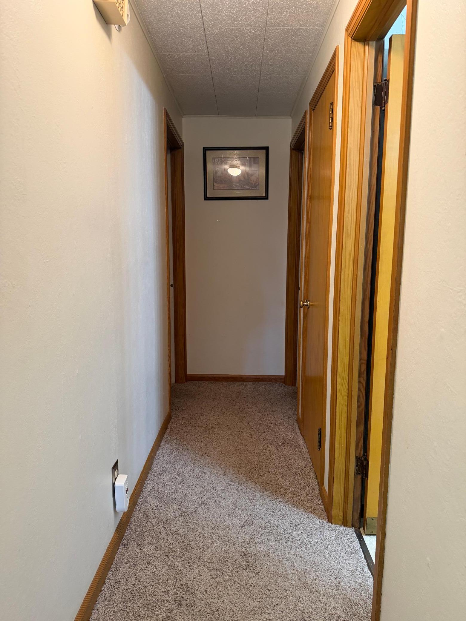 Main Floor Hallway