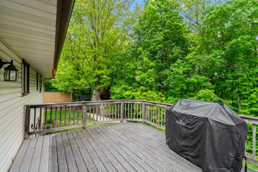 8-web-or-mls-312 Circle Ln SE St Michael MN_0009.jpg