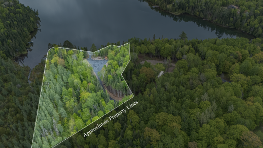 53549 Little Bear Trail, Bigfork, MN 56657