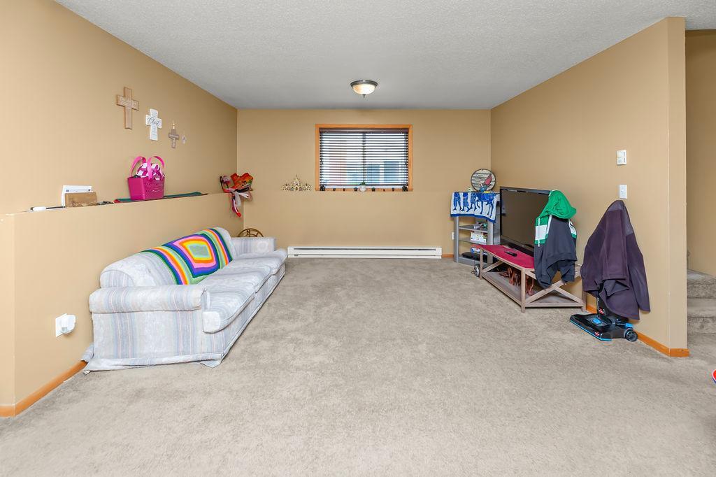 Lower level Family Room