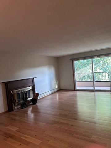 living_fireplace.jpg