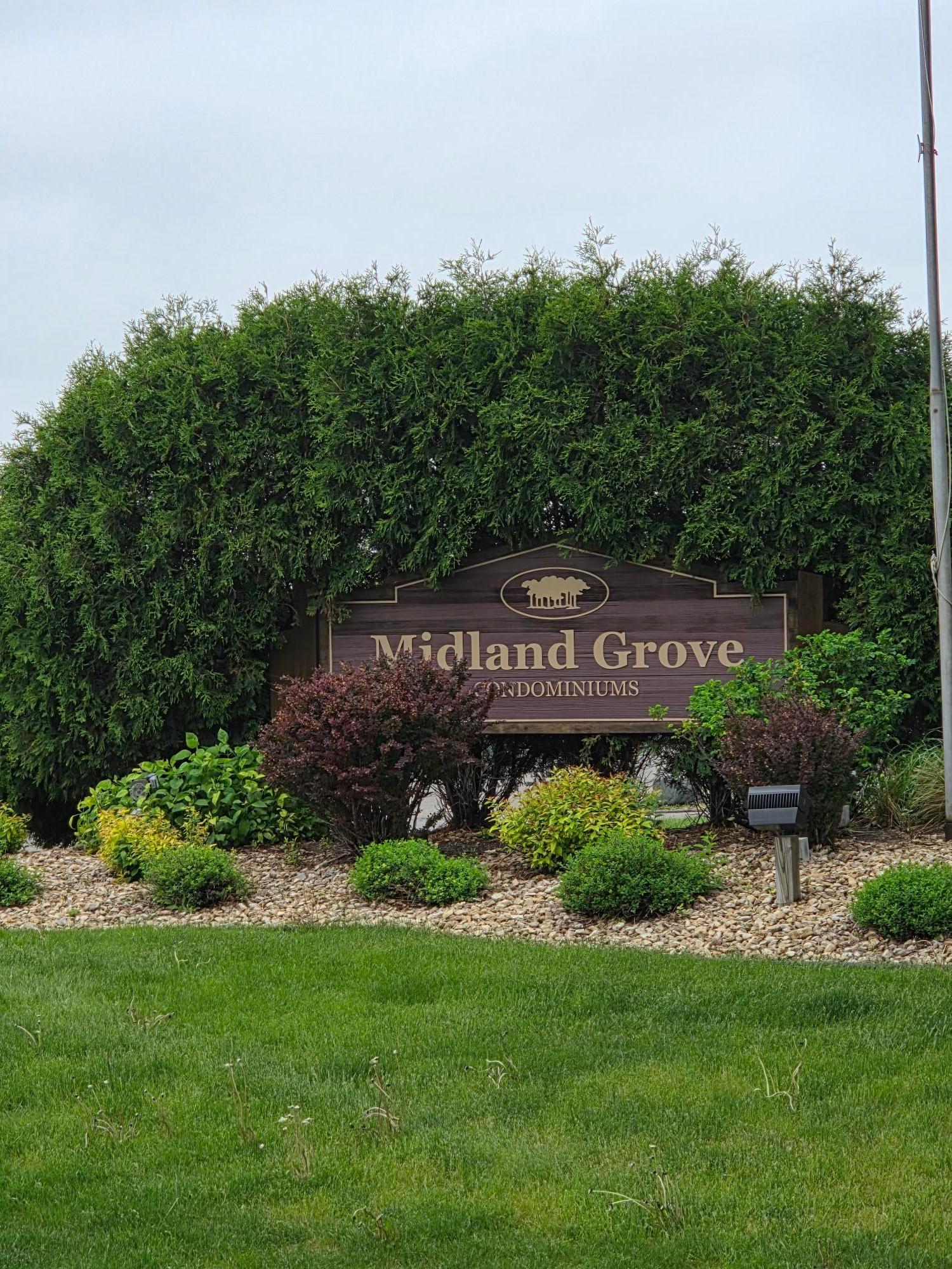 midland_grove.jpg