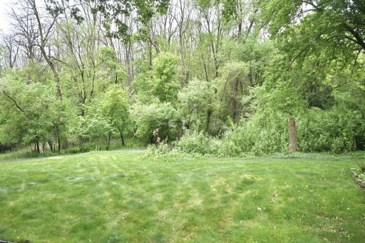 16011 3rd Street N, Lakeland, MN 55043