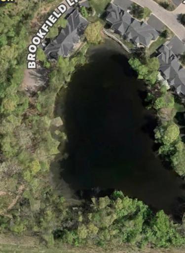 pond in back