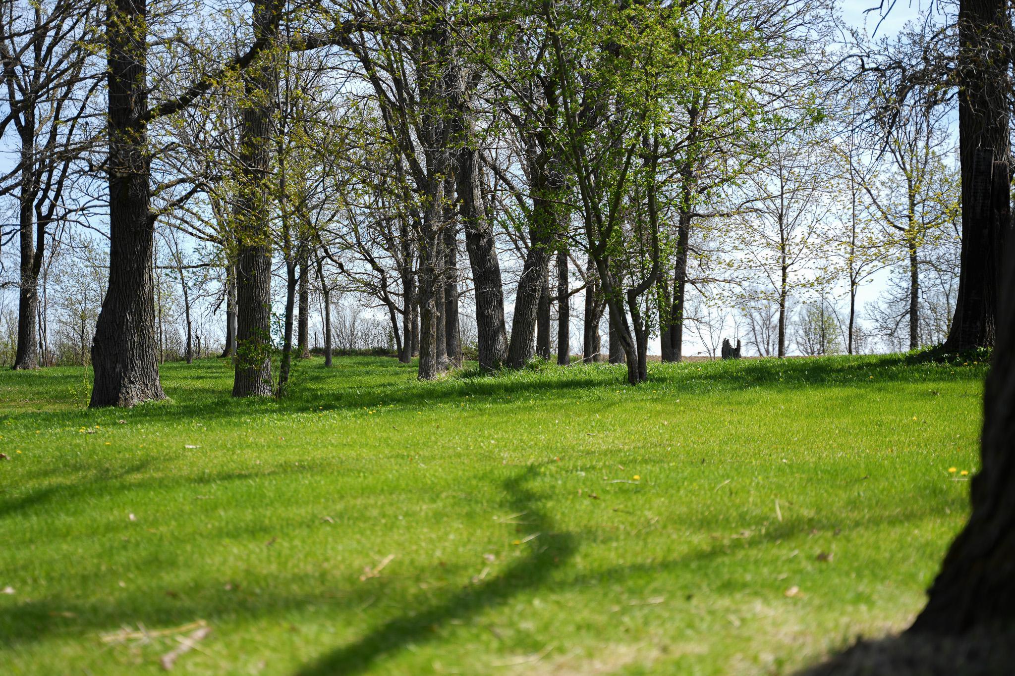 DSC00317.jpg