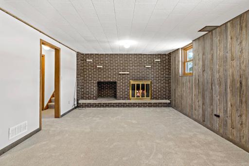 Wood-burning fireplace in lower-level family room. New carpet and paneling in 2026.