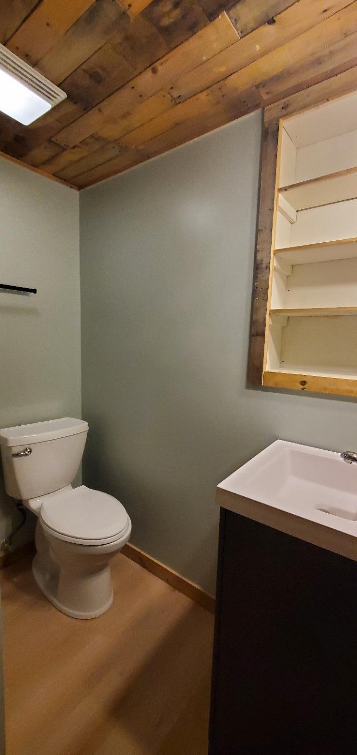 Lower level bath with 3/4 shower
