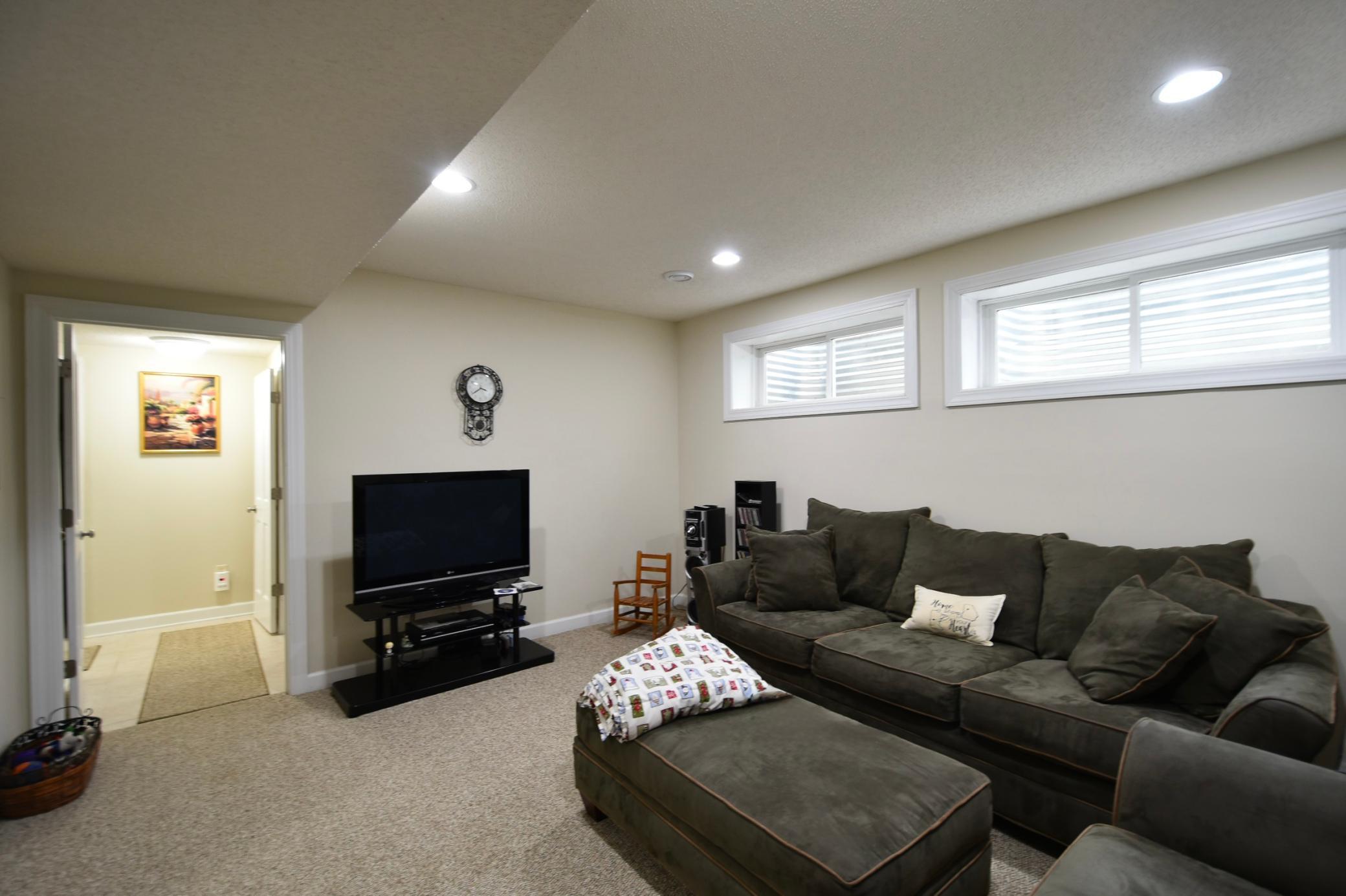 Family room-basement