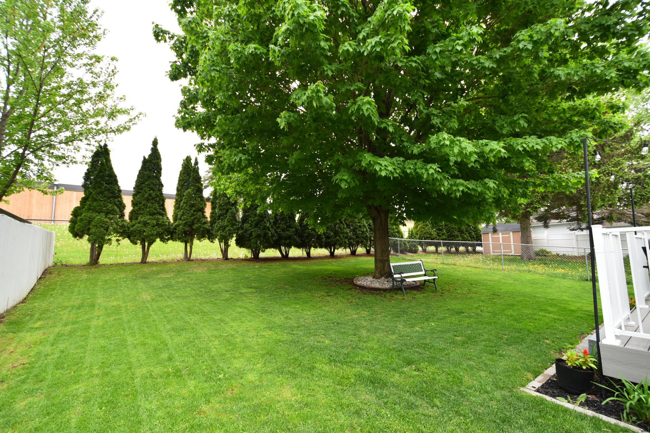 DSC_8974.jpg
